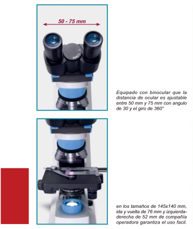 MICROSCOPIO BINOCULAR 100X COD 613.21.001 ISOLAB