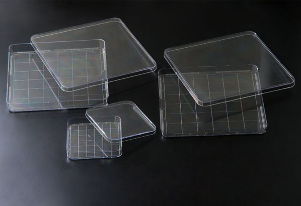 PLACA PETRI CUADRADA DE PLASTICO ESTERIL PAQ X 10 UND COD 11125 SPL