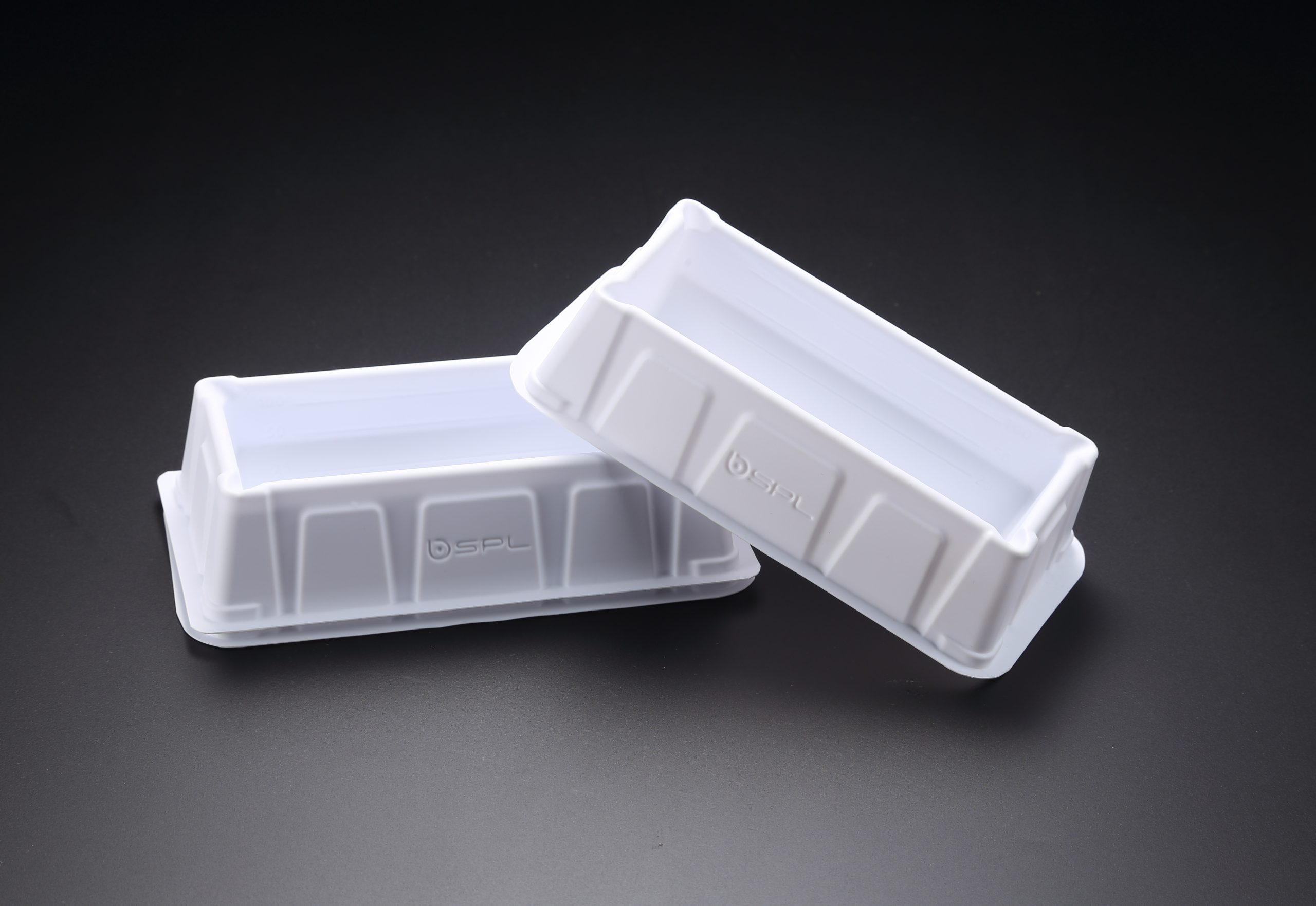 RESERVORIO DE DOS CANALES ESTERIL (2 DE 25ML) BLANCO X 5 UND COD 21102 SPL
